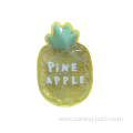 4 pineapple ice pack set